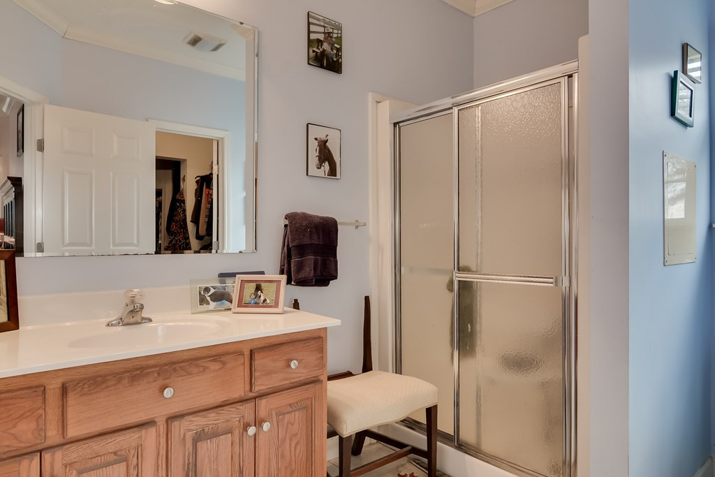 4069 Wagener Road Aiken, SC 29805 - Photo 17 of 33 a bathroom with a double vanity sink mirror and shower