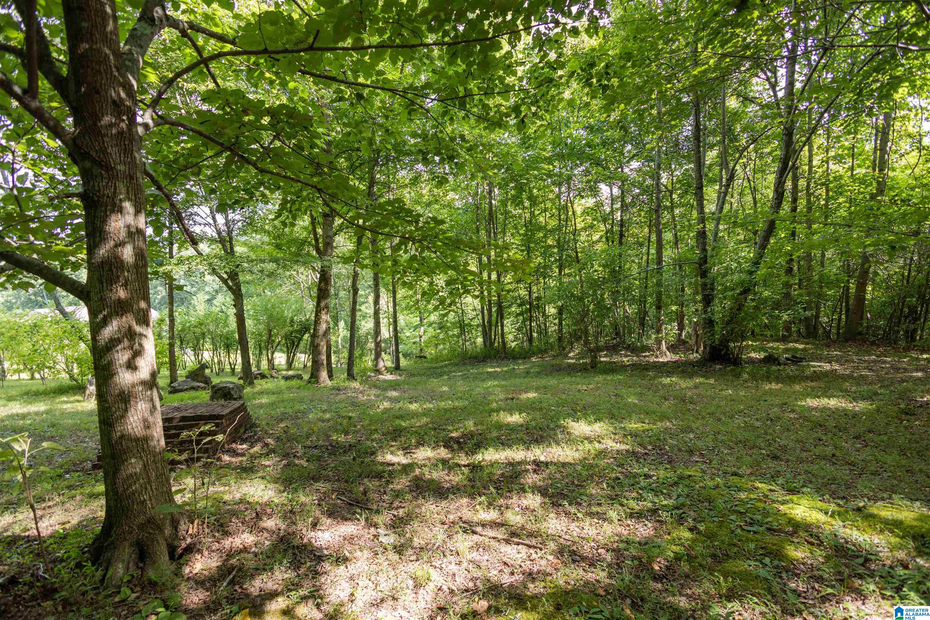 640 Beaver Ridge Circle Ashville, AL 35953 - Photo 33 of 45