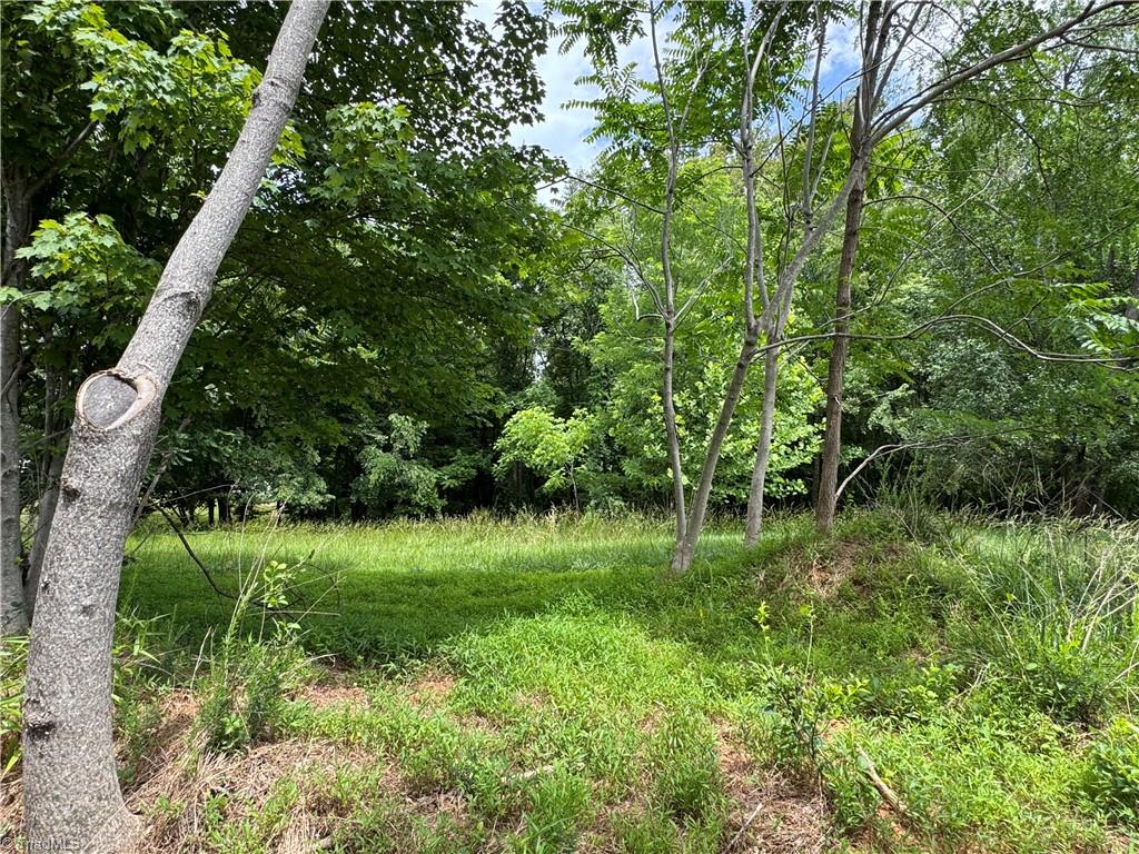 172 Poteat Road Mount Airy, NC 27030 - Photo 6 of 11