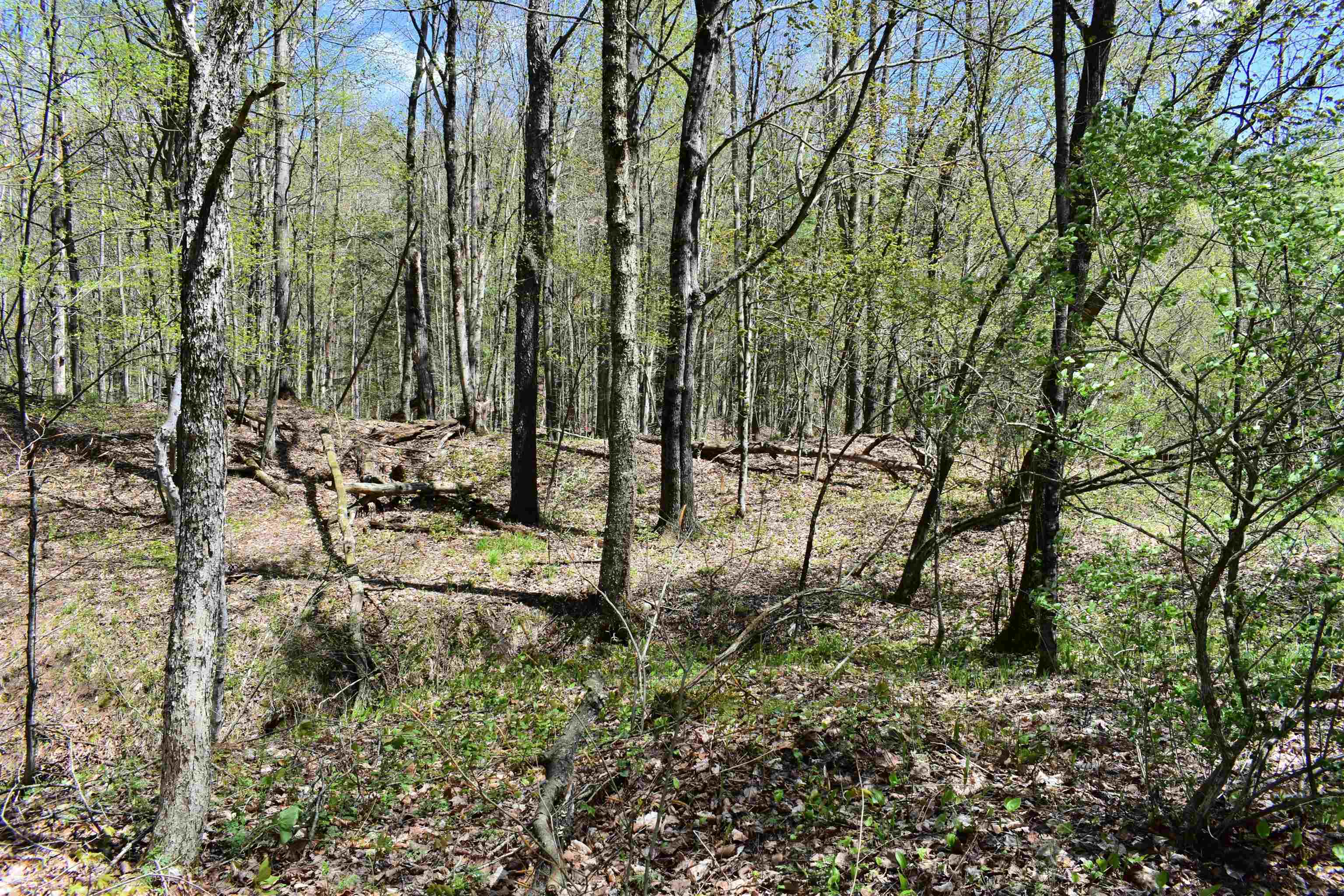 1850 Stock Farm Road, Unit 68 Randolph, VT 05060 - Photo 23 of 25