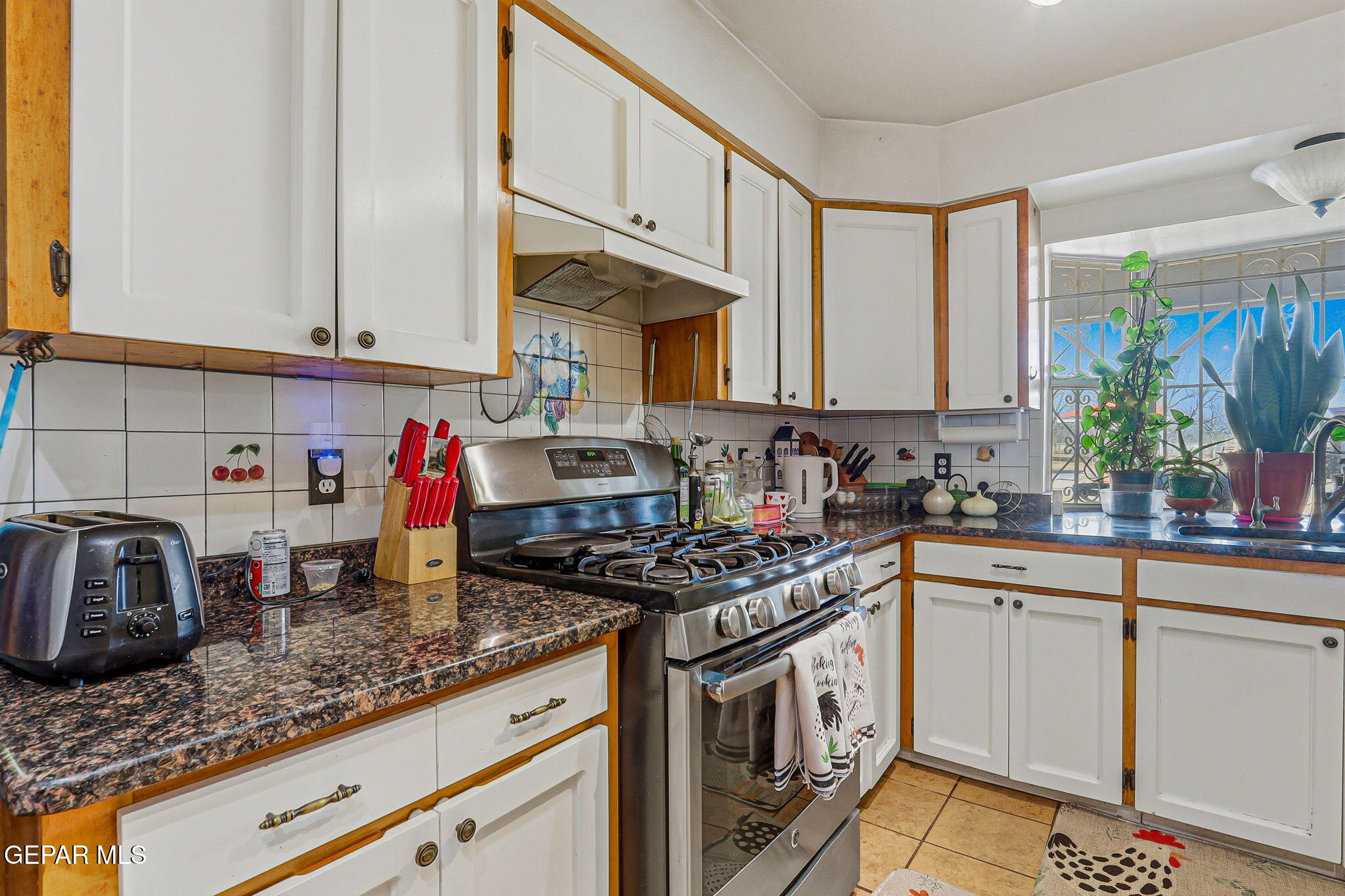 1602 Waterfront Street Anthony, NM 88021 - Photo 15 of 58 48-web-or-mls-IMG_3779