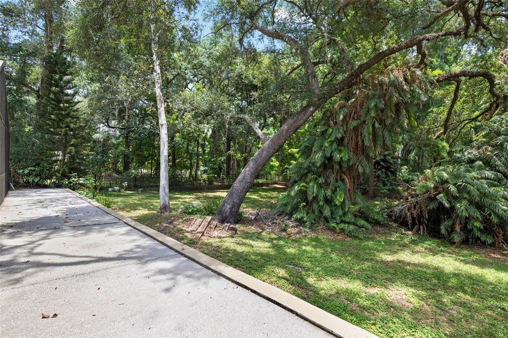 181 North Smokey Mountain Road Seffner, FL 33584 - Photo 60 of 61