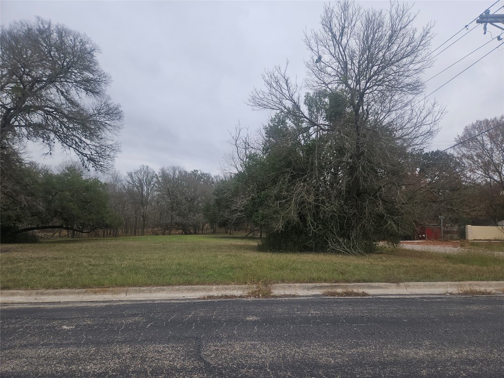 a view of a field with a trees