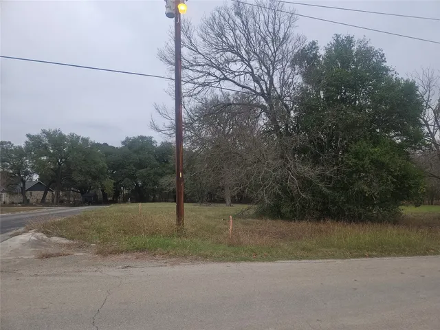 a view of a field with a tree