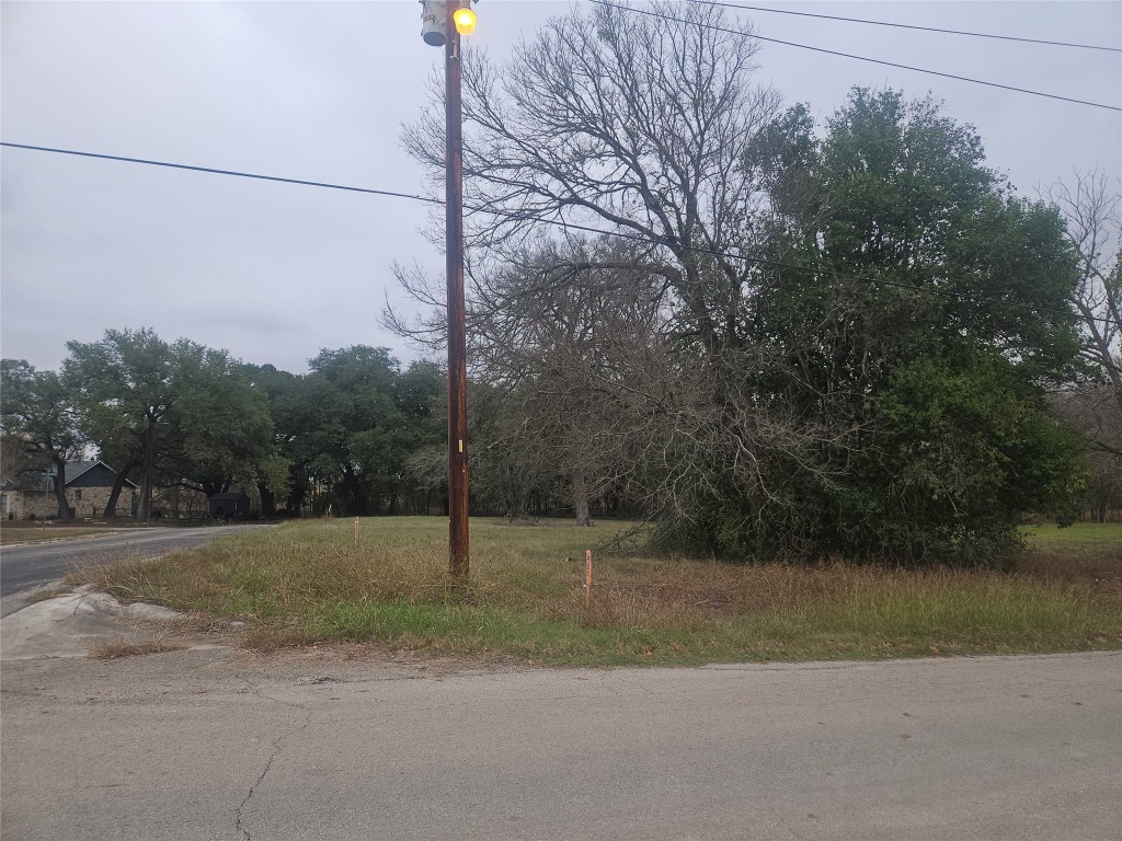 1500 Forest Lane Lockhart, TX 78644 - Photo 3 of 3 a view of a field with a tree
