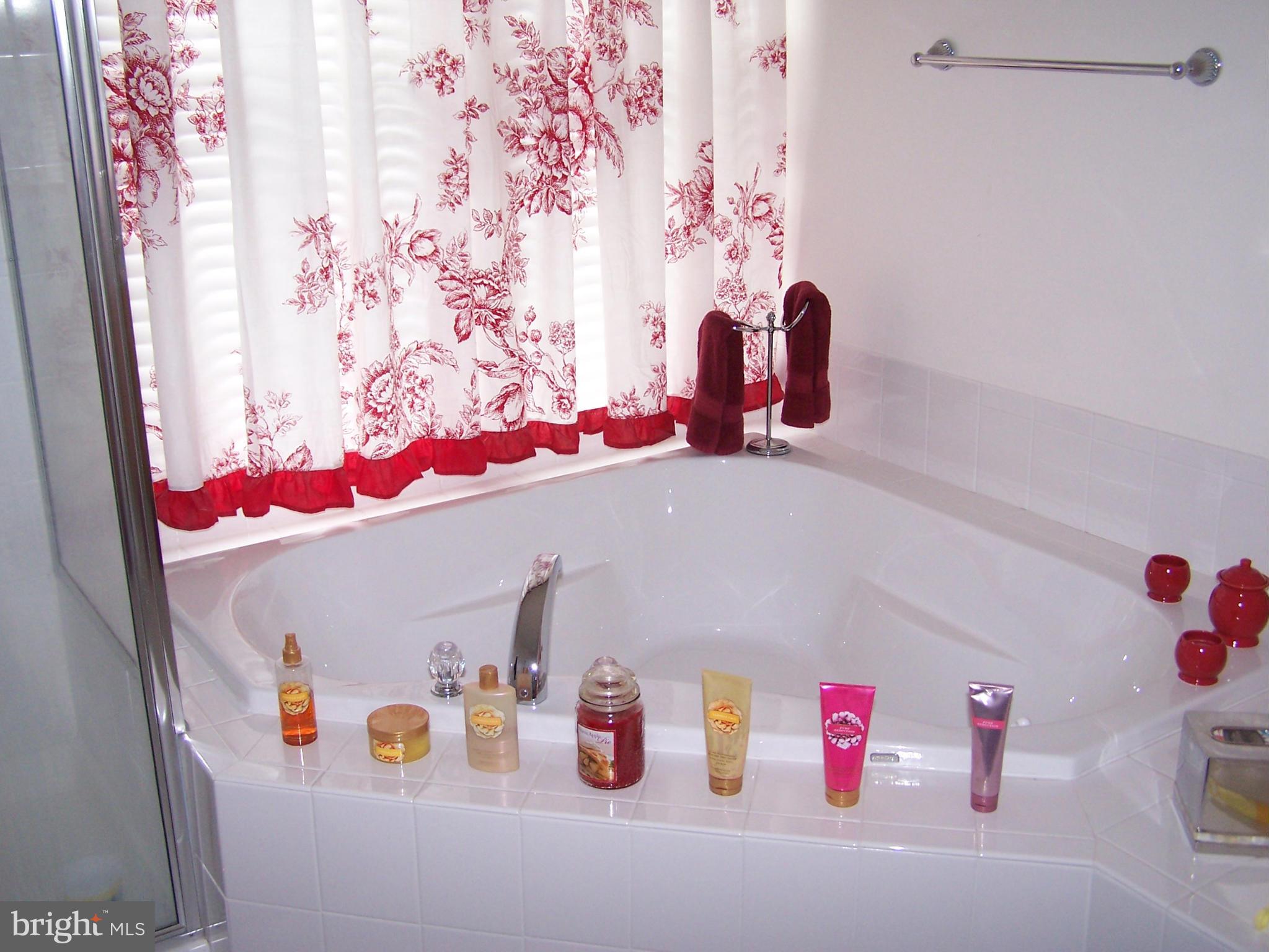 22725 Stevenson Road Ridgely, MD 21660 - Photo 8 of 13 Bath (Master)
