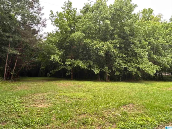 $19,900 | 525 Poplar Lane, Unit 1 ACRE, Birmingham, AL 35244