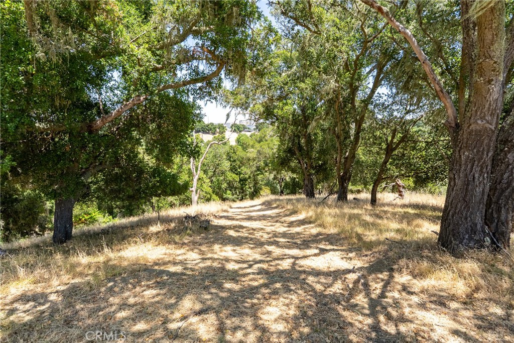 0 Los Gatos Road Atascadero, CA 93422 - Photo 4 of 16 Surrounded by majestic oak trees.