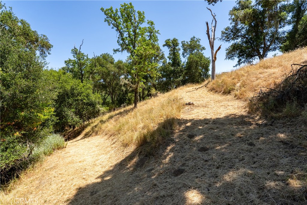 0 Los Gatos Road Atascadero, CA 93422 - Photo 6 of 16 Rough-cut path takes you to the top.