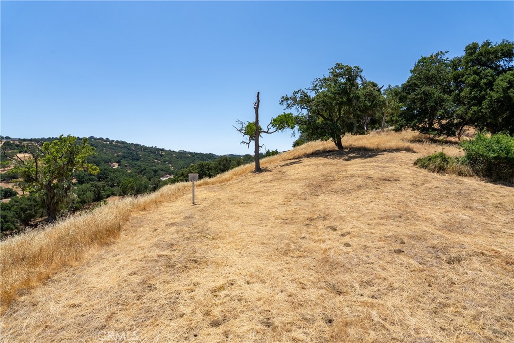 0 Los Gatos Road Atascadero, CA 93422 - Photo 8 of 16 Cleared potential building area.