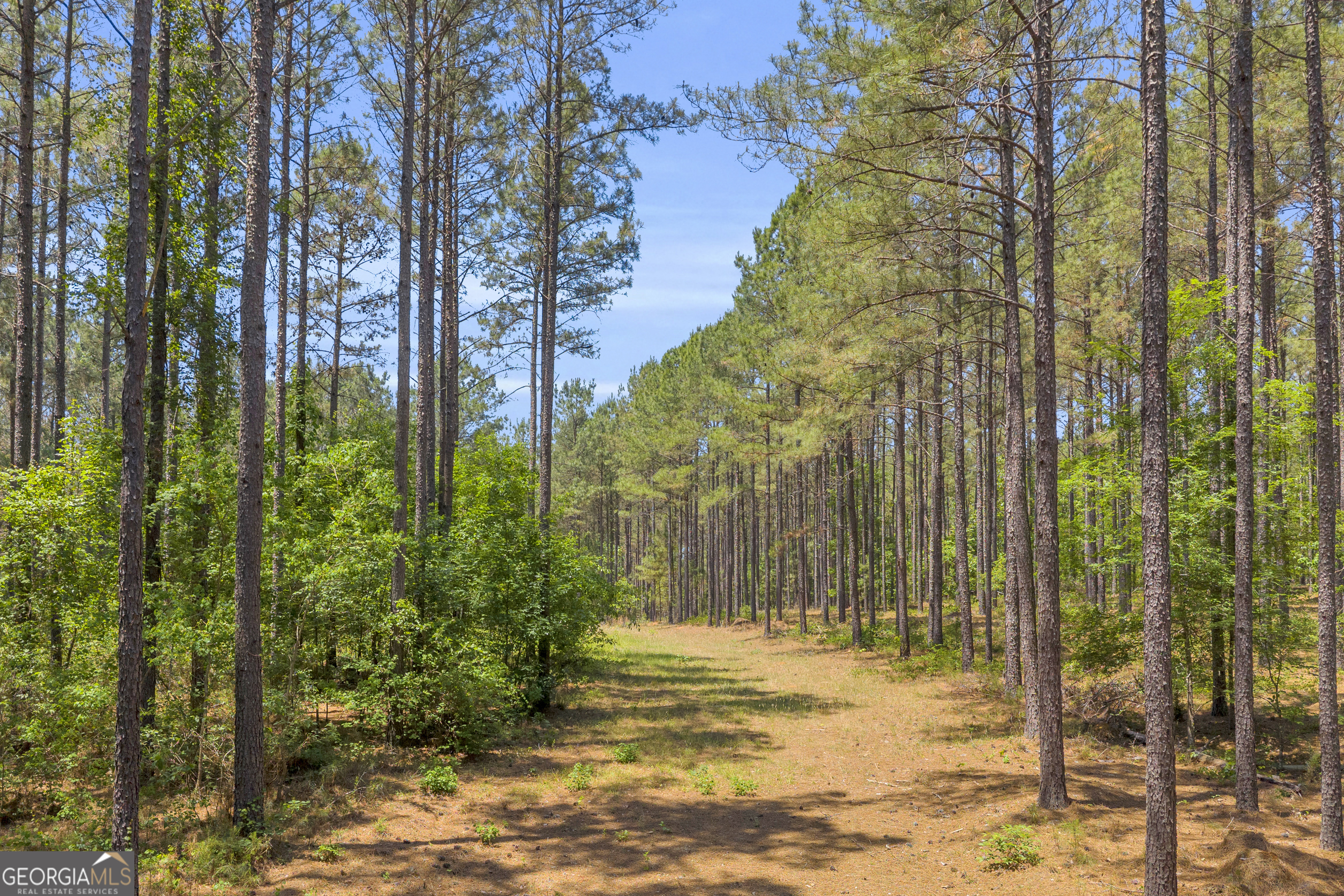 0 Hidden Harbor Road Lincolnton, GA 30817 - Photo 3 of 58