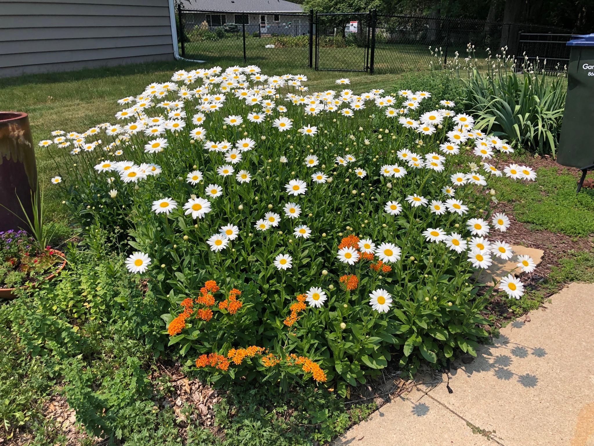 2024 Telemark Court Northwest Rochester, MN 55901 - Photo 9 of 23