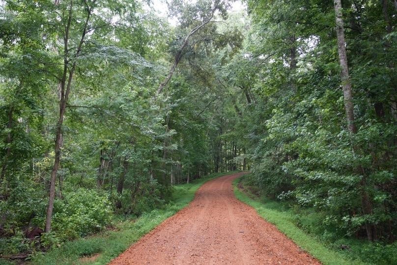 650 Ridge Road New Concord, KY 42076 - Photo 12 of 15 Gallery Image 12