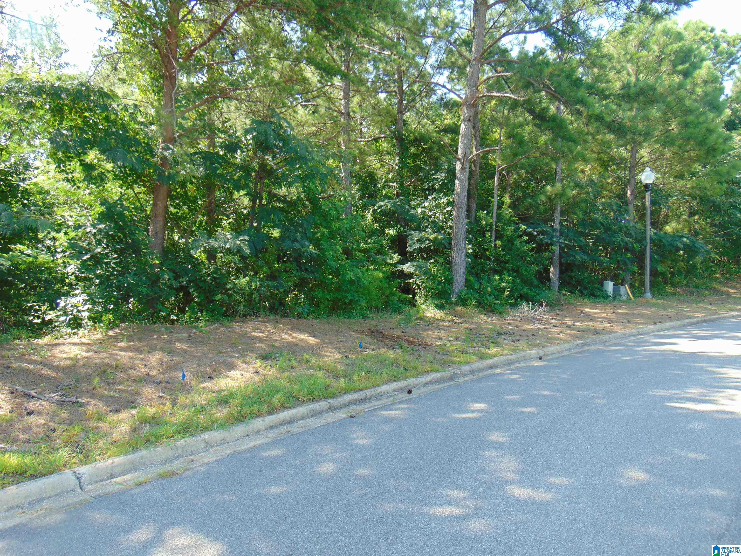 162 Jewell Circle, Unit 2 Bessemer, AL 35022 - Photo 2 of 5