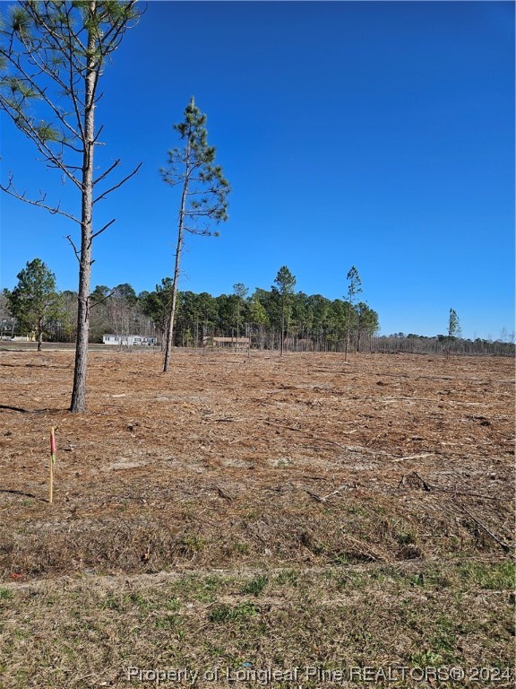 10 Clark Road Maxton, NC 28364 - Photo 2 of 3 Gallery Image 2