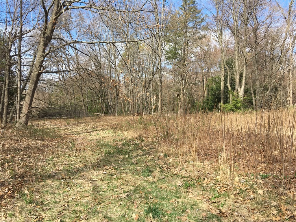 87 Hockanum Road Hadley, MA 01035 - Photo 1 of 5 Gallery Image 1