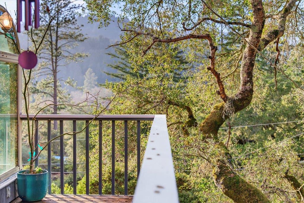 2203 Quail Hollow Road Ben Lomond, CA 95005 - Photo 42 of 60