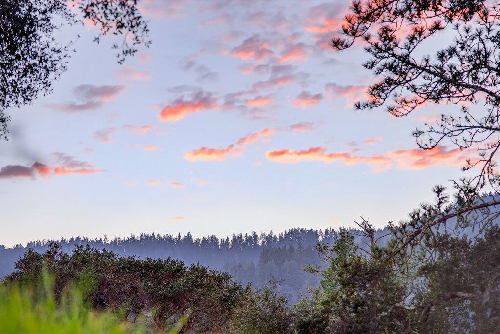 2203 Quail Hollow Road Ben Lomond, CA 95005 - Photo 59 of 60