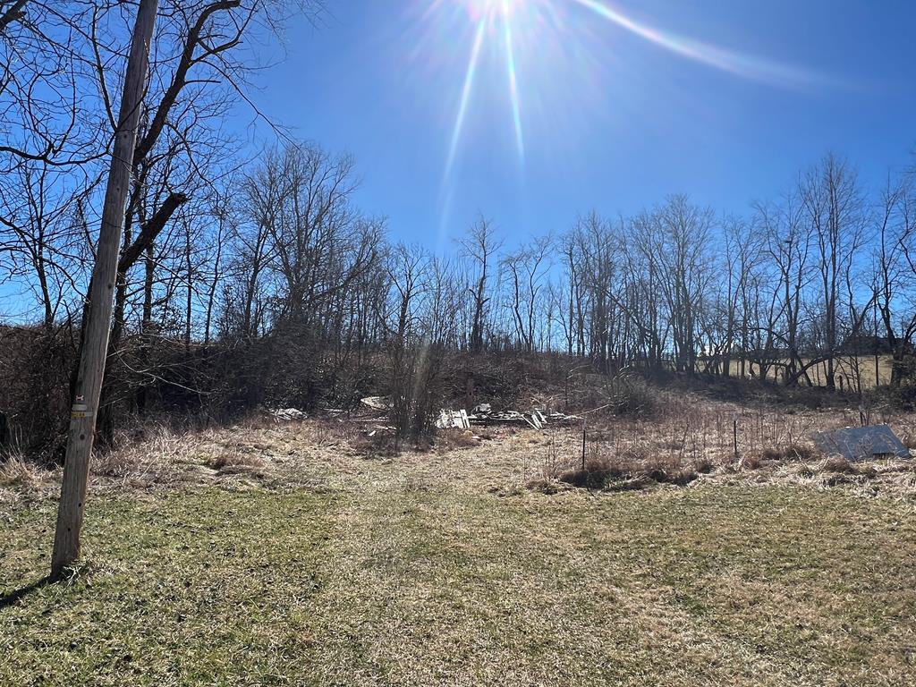 199 Dungeon Spring Road, Unit 2 Wytheville, VA 24382 - Photo 1 of 6 Gallery Image 1