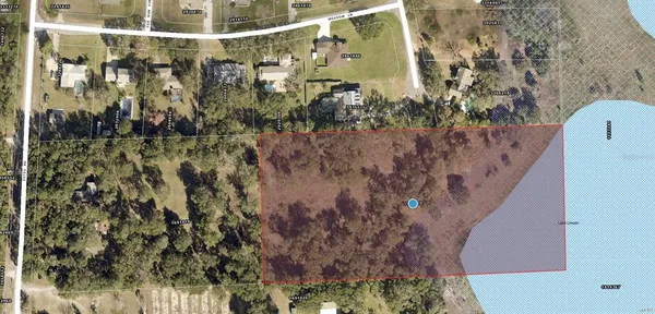 a view of a yard with trees