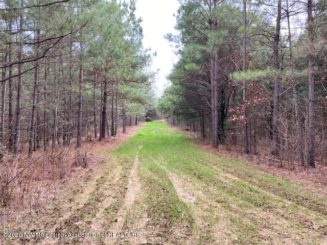 879 Mt Olive Road Byhalia, MS 38611 - Photo 1 of 18 unnamed (10)
