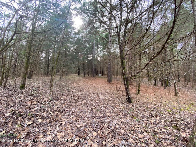 879 Mt Olive Road Byhalia, MS 38611 - Photo 11 of 18 unnamed (11)