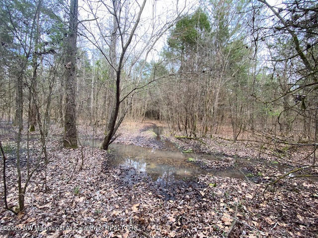 879 Mt Olive Road Byhalia, MS 38611 - Photo 12 of 18 unnamed (12)