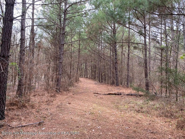 879 Mt Olive Road Byhalia, MS 38611 - Photo 13 of 18 unnamed (13)