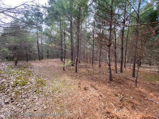879 Mt Olive Road Byhalia, MS 38611 - Photo 15 of 18 unnamed