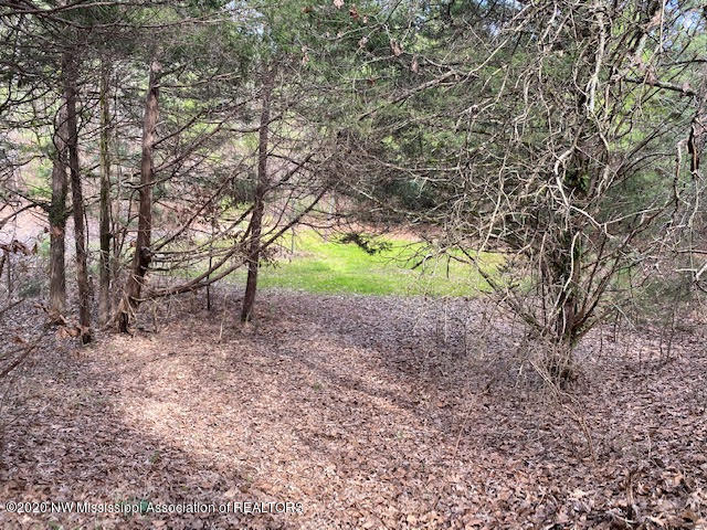 879 Mt Olive Road Byhalia, MS 38611 - Photo 2 of 18 unnamed (2)