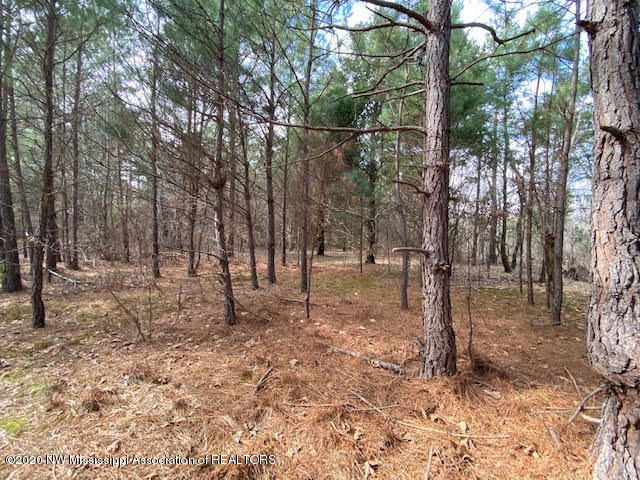 879 Mt Olive Road Byhalia, MS 38611 - Photo 3 of 18 unnamed (1)