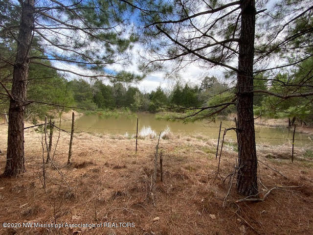 879 Mt Olive Road Byhalia, MS 38611 - Photo 4 of 18 unnamed (3)