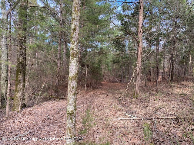 879 Mt Olive Road Byhalia, MS 38611 - Photo 5 of 18 unnamed (4)