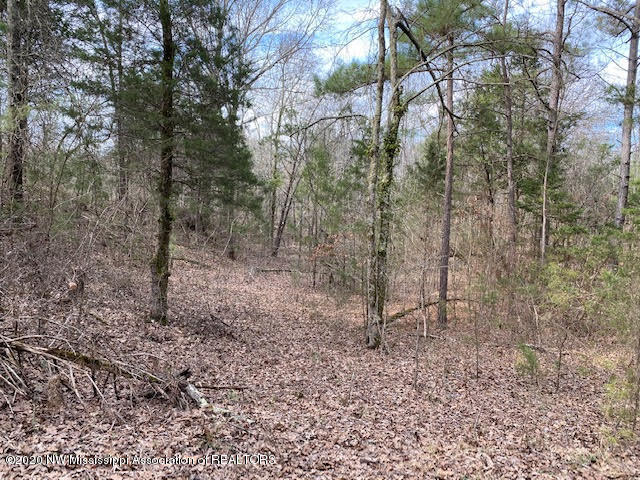 879 Mt Olive Road Byhalia, MS 38611 - Photo 6 of 18 unnamed (5)