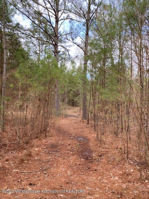 879 Mt Olive Road Byhalia, MS 38611 - Photo 7 of 18 unnamed (6)