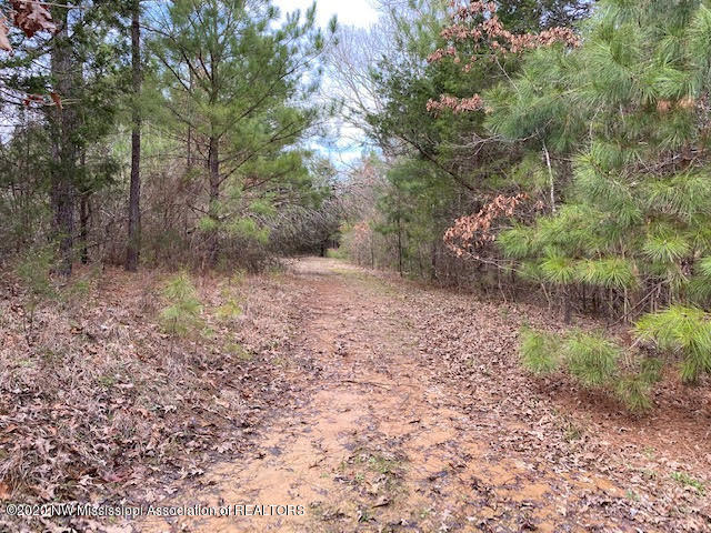 879 Mt Olive Road Byhalia, MS 38611 - Photo 8 of 18 unnamed (7)