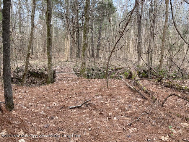 879 Mt Olive Road Byhalia, MS 38611 - Photo 10 of 18 unnamed (9)