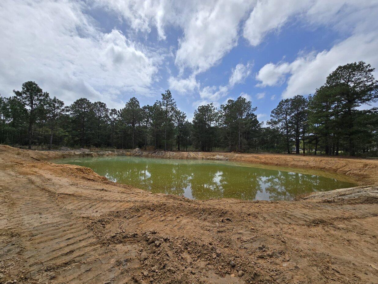 966 Tiger Loop St. Stephen, SC 29479 - Photo 7 of 8 1 acre pond! 966 Tiger Loop Pond