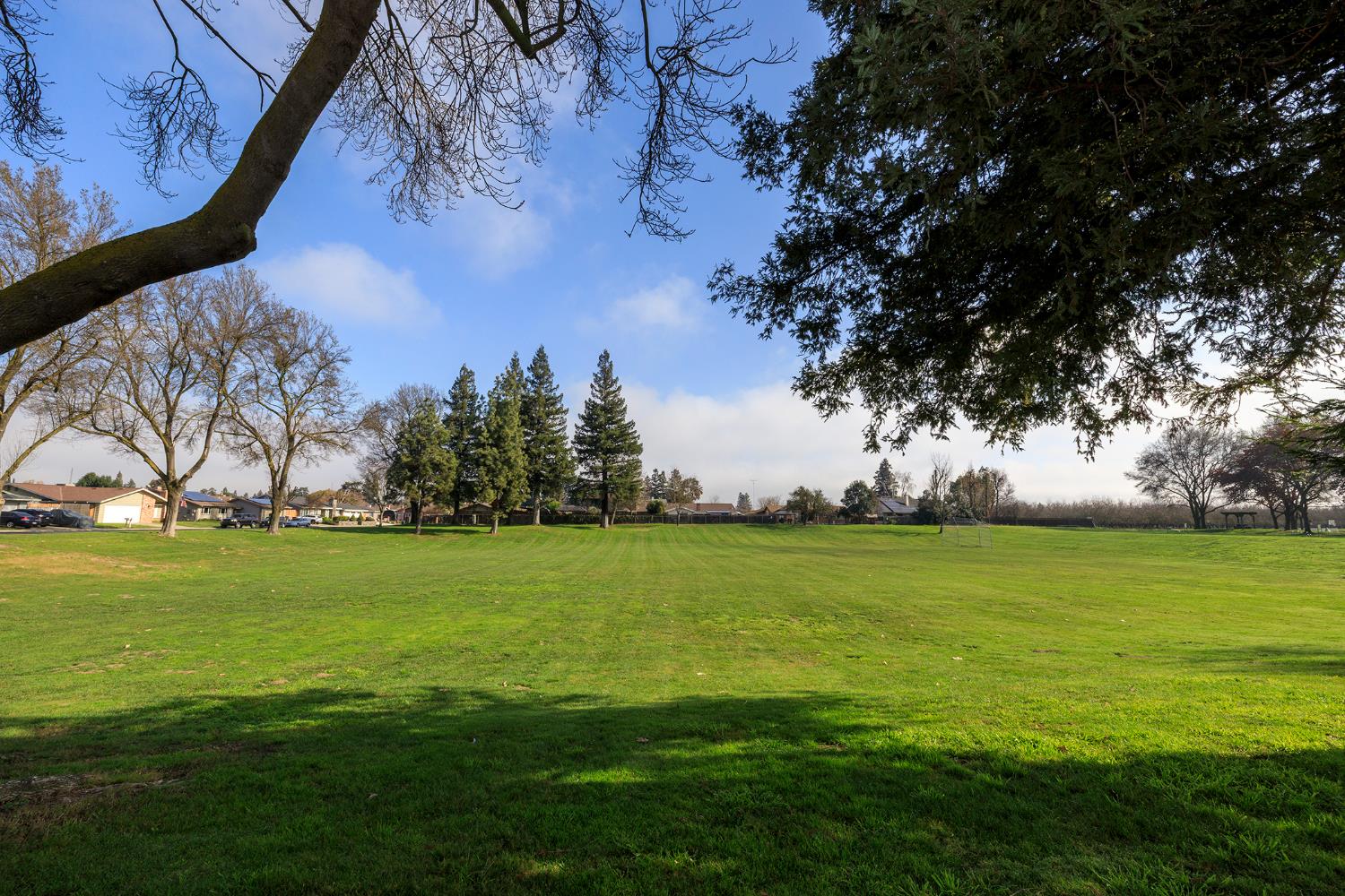 495 Valdapena Way Escalon, CA 95320 - Photo 38 of 38 a view of a field with an trees