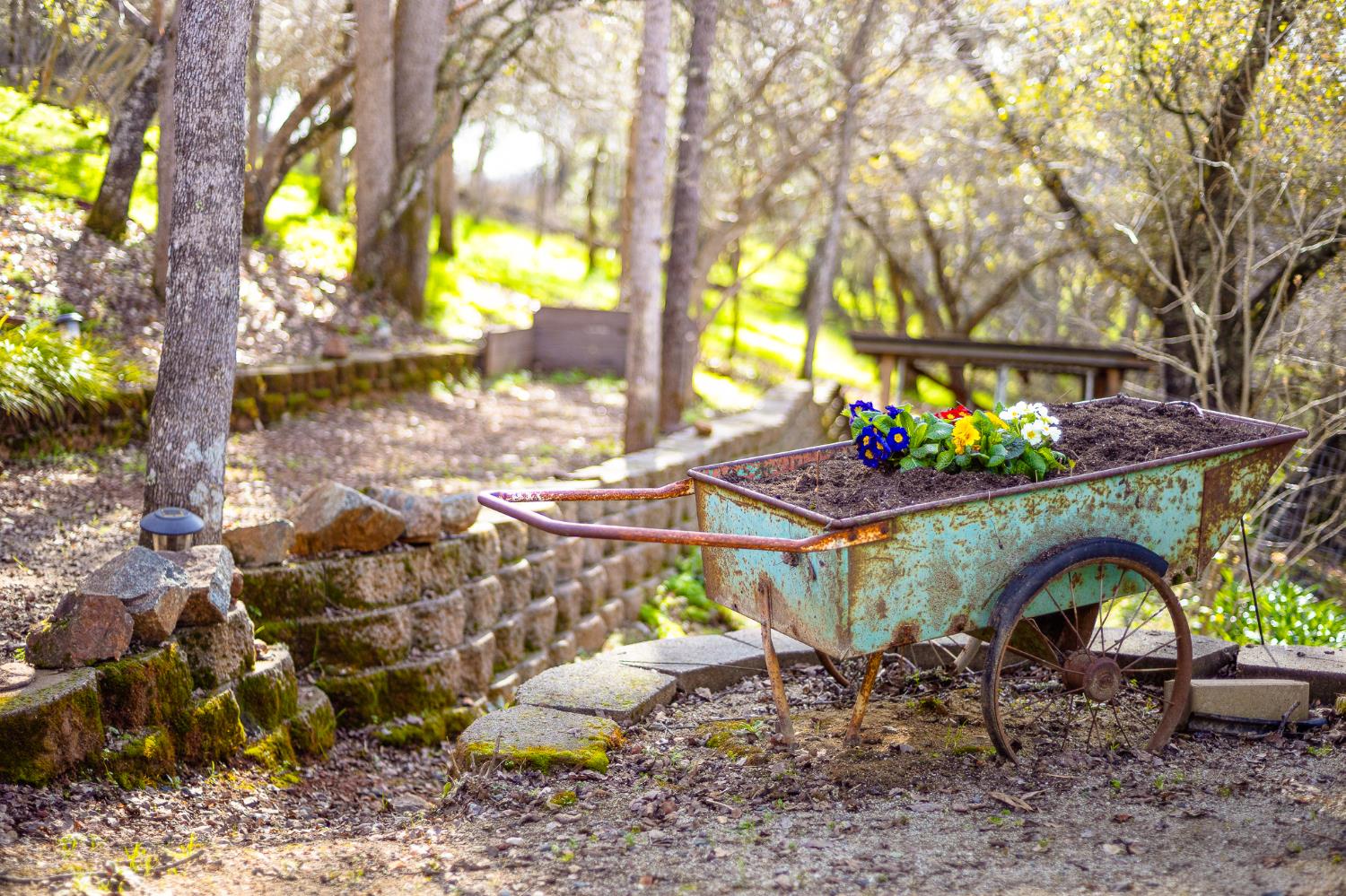 3680 Reflection Road Shingle Springs, CA 95682 - Photo 22 of 33