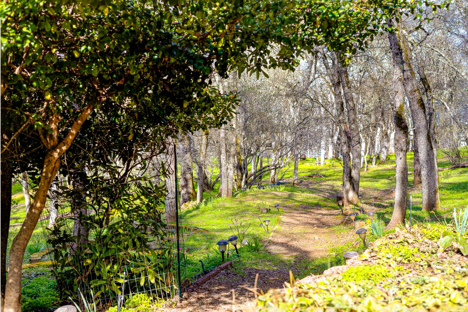 3680 Reflection Road Shingle Springs, CA 95682 - Photo 26 of 33