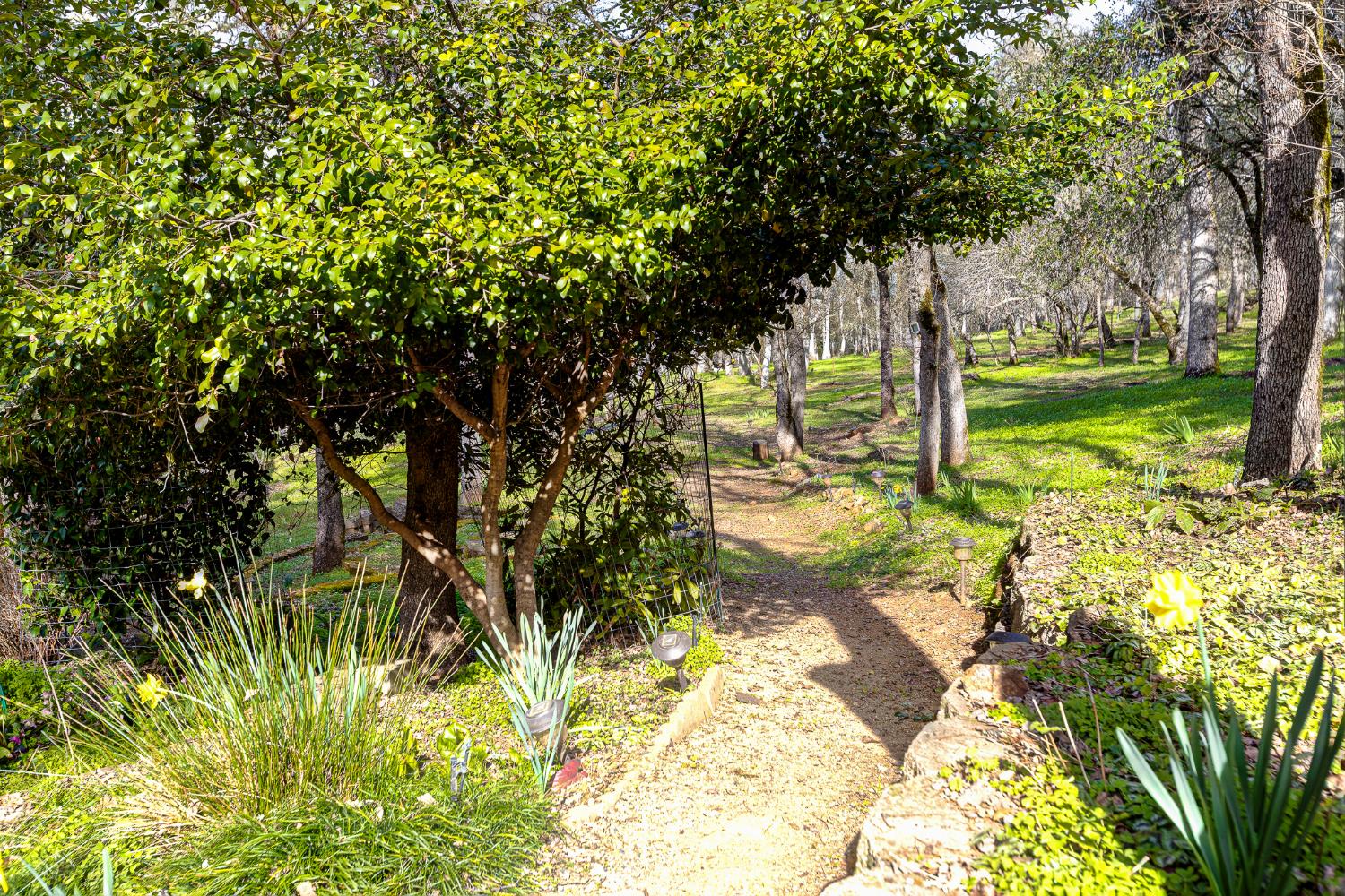 3680 Reflection Road Shingle Springs, CA 95682 - Photo 27 of 33