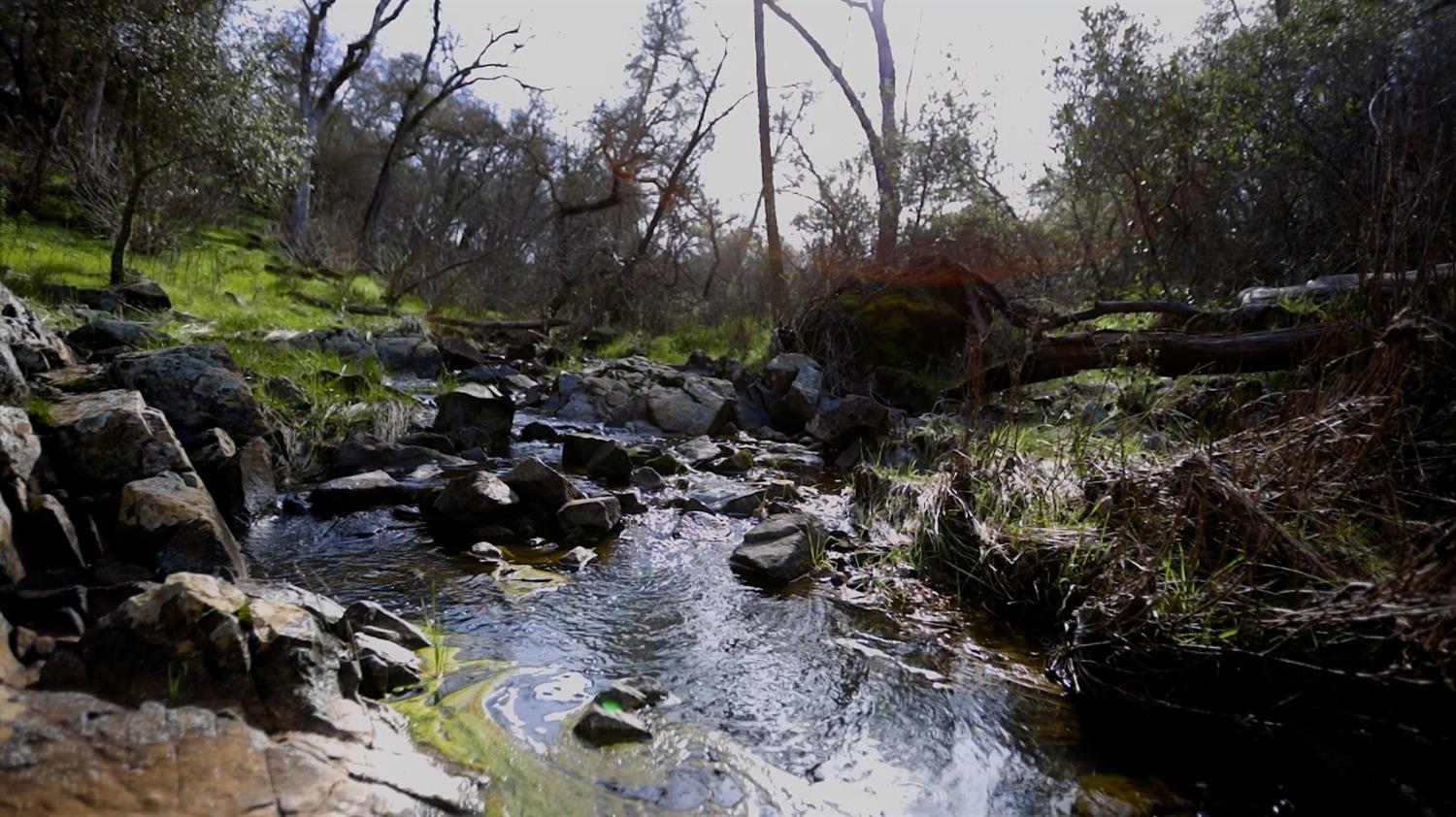 3680 Reflection Road Shingle Springs, CA 95682 - Photo 31 of 33