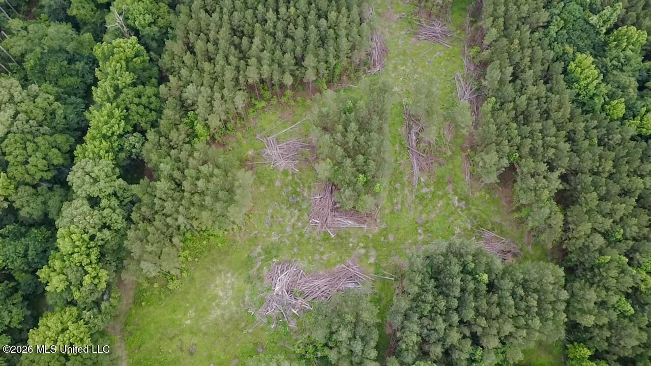 8119 Dry Grove Road Raymond, MS 39154 - Photo 26 of 45 2026-06-08-17-36-53-523