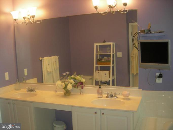 46815 Willowood Place Sterling, VA 20165 - Photo 15 of 22 a bathroom with a sink vanity and a mirror