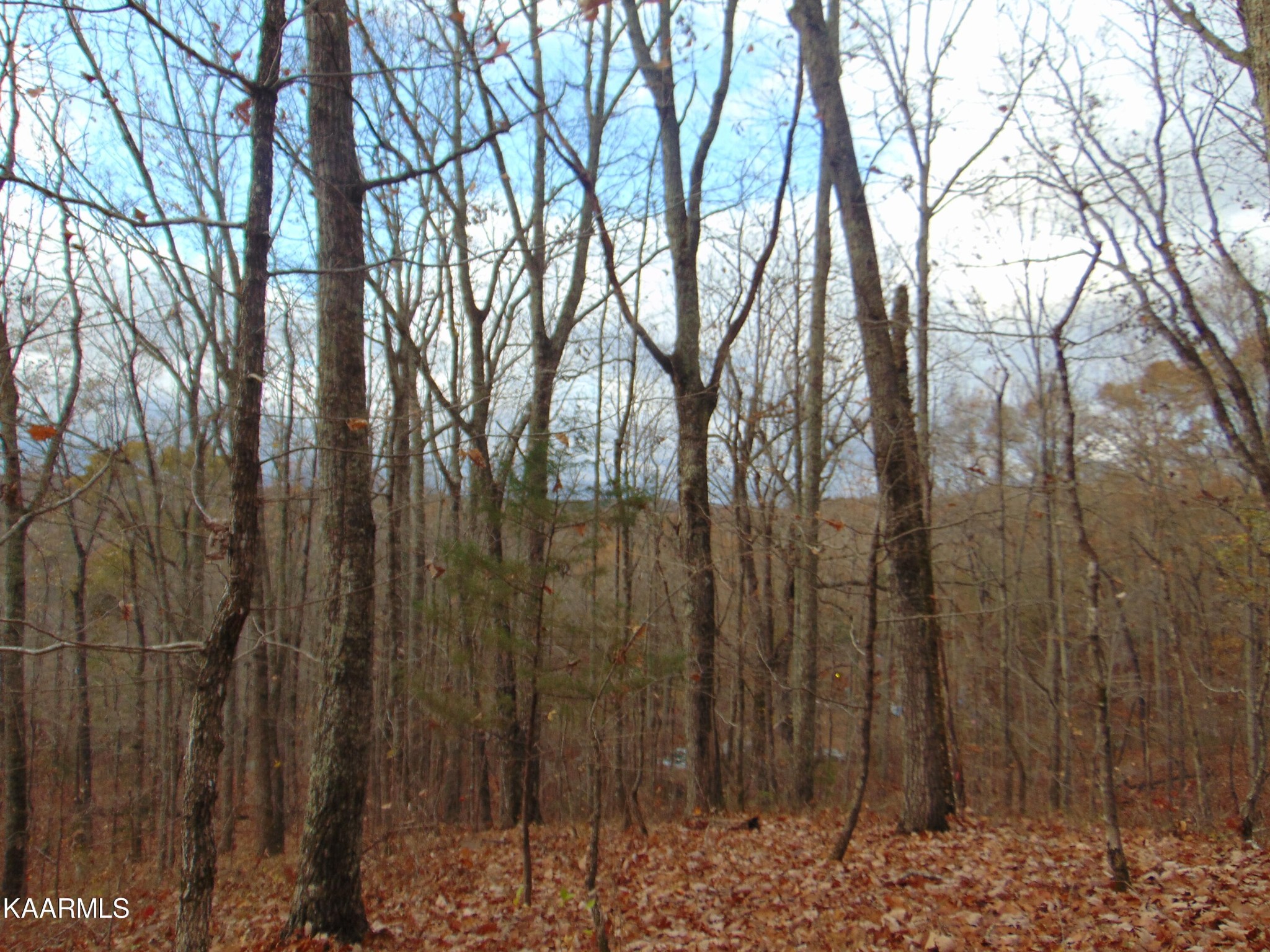 1056 County Road 179 Decatur, TN 37322 - Photo 20 of 24