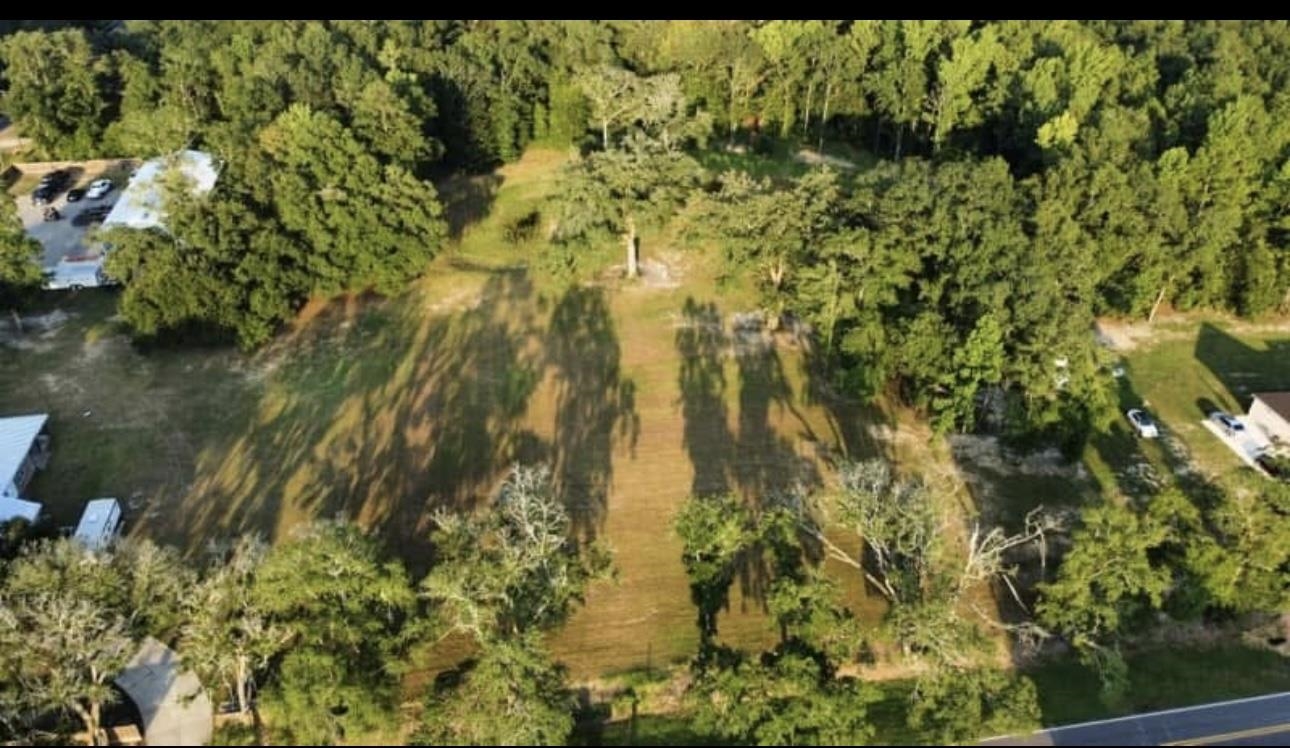 286 Dead Lake Road Creola, AL 36525 - Photo 2 of 5 Aerial View