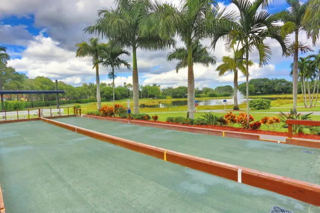 a view of a park with palm trees