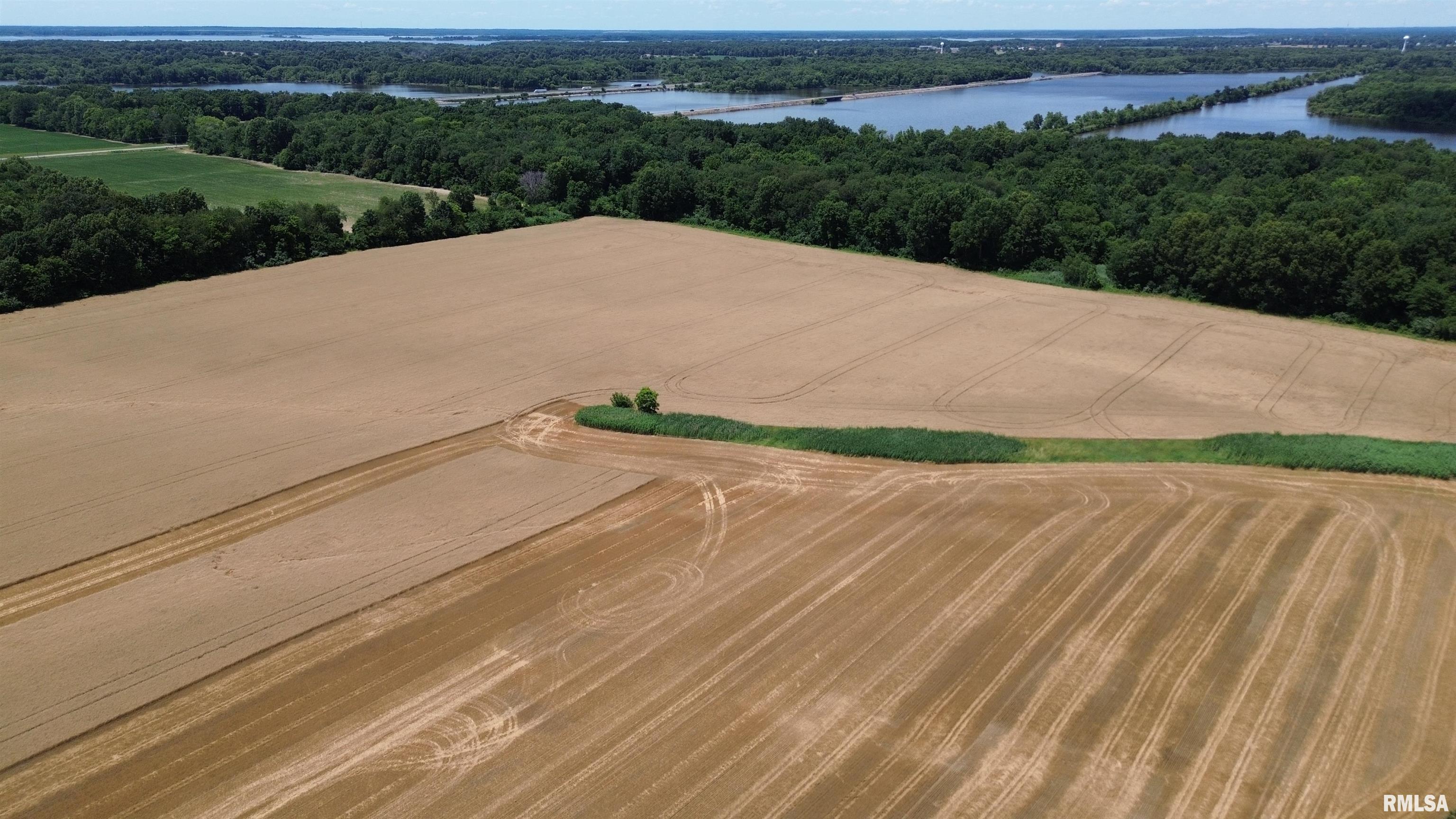 0 Ewing Road Whittington, IL 62897 - Photo 3 of 18