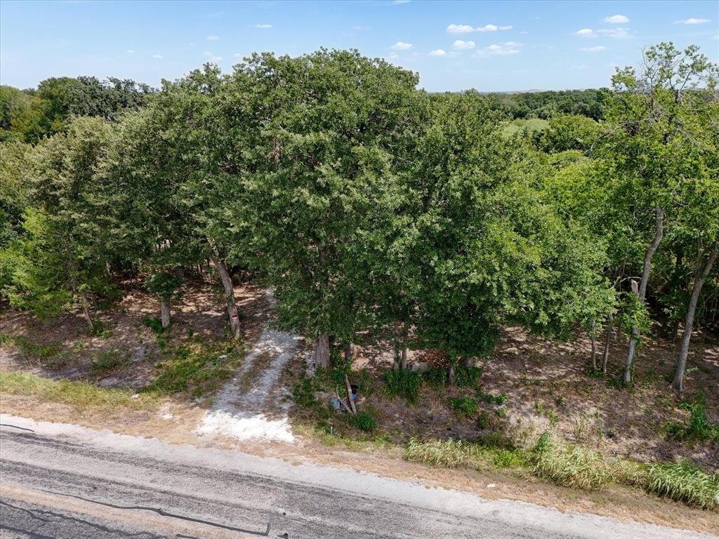 Tbd000 Williams Road Waco, TX 76705 - Photo 12 of 15 Expansive wooded acreage featuring mature trees and natural terrain
